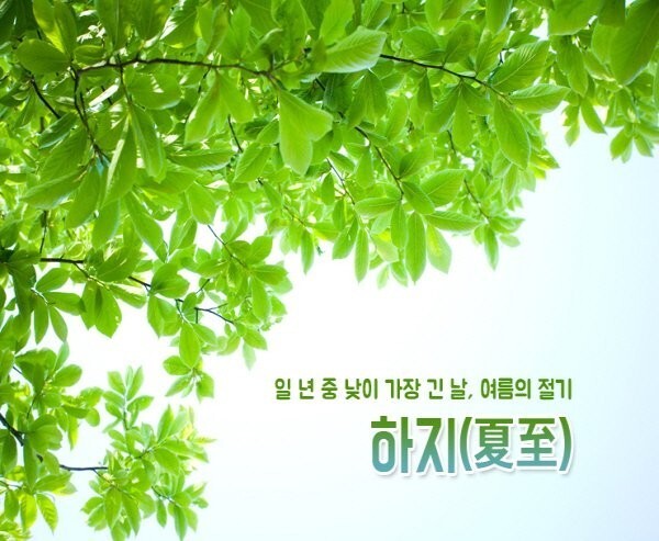 떡하지 이미지