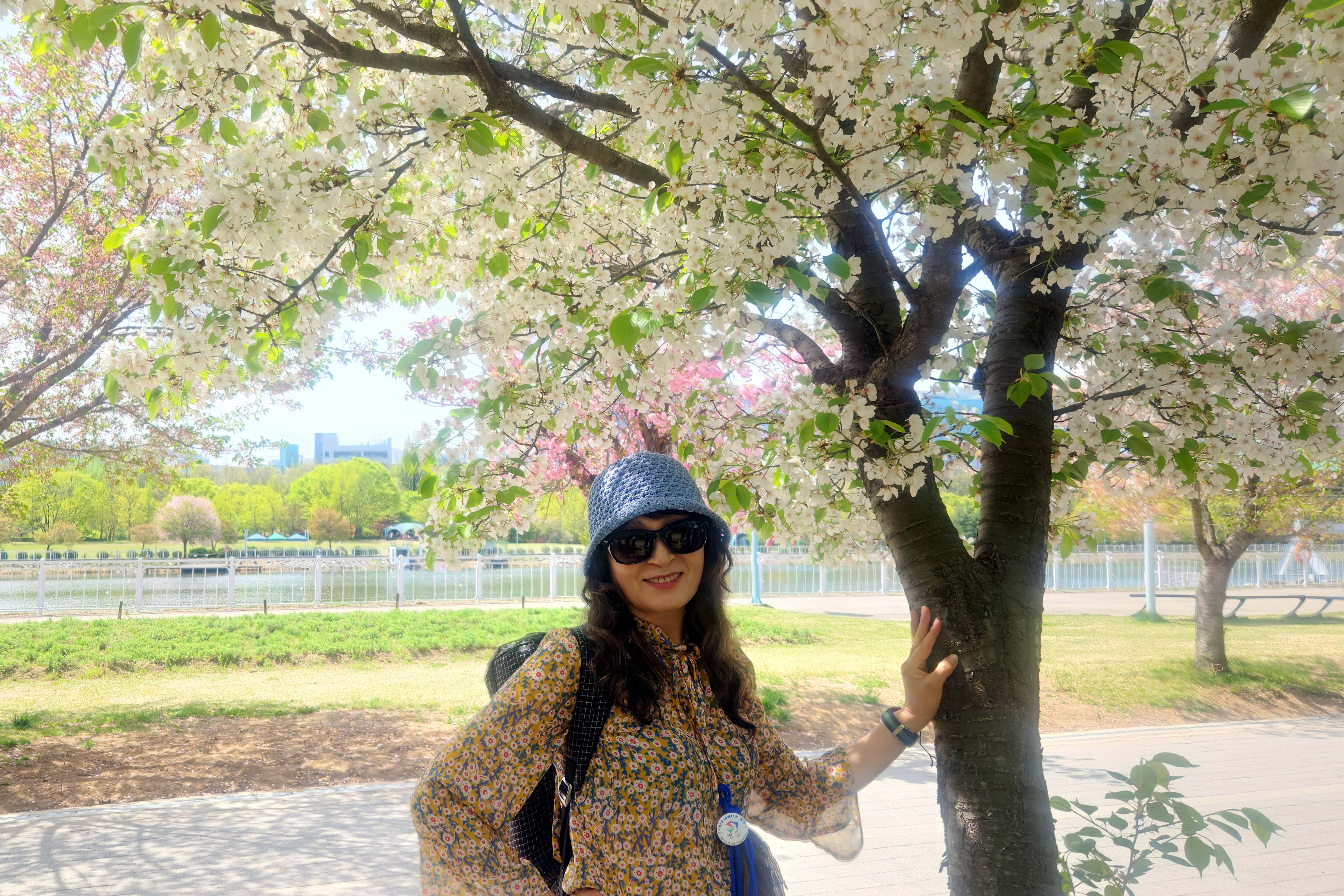 Daum 카페