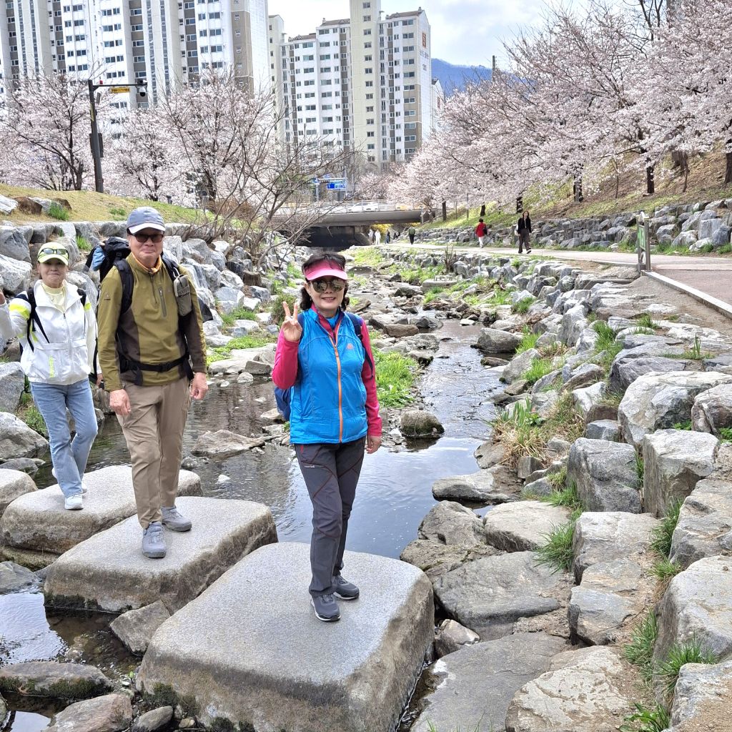 달님과별님 이미지