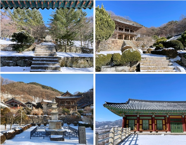 마트 백두대간 이미지