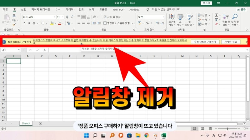 Daum 카페