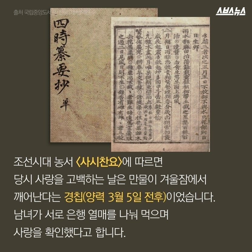 나무사랑 이미지
