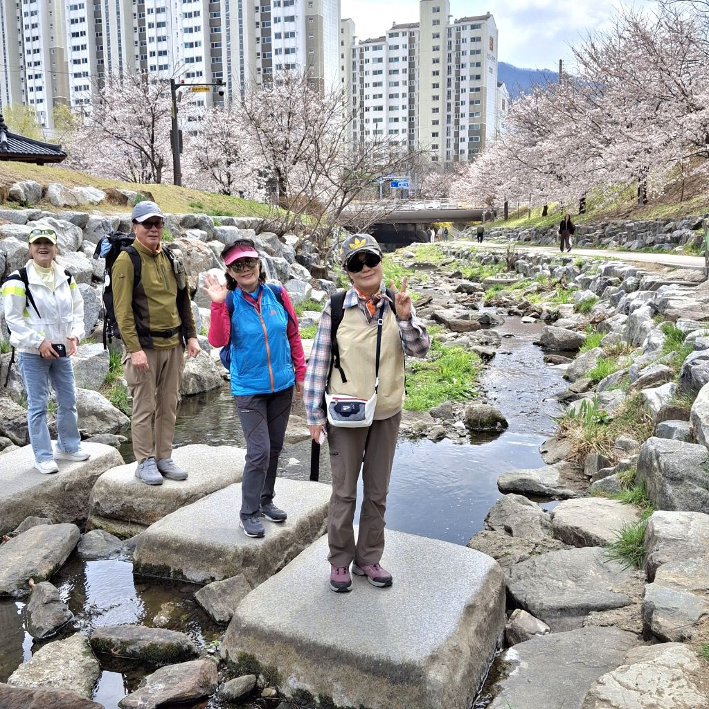 달님과별님 이미지