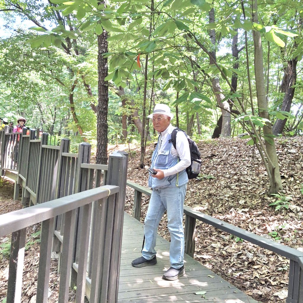 청죽 이미지