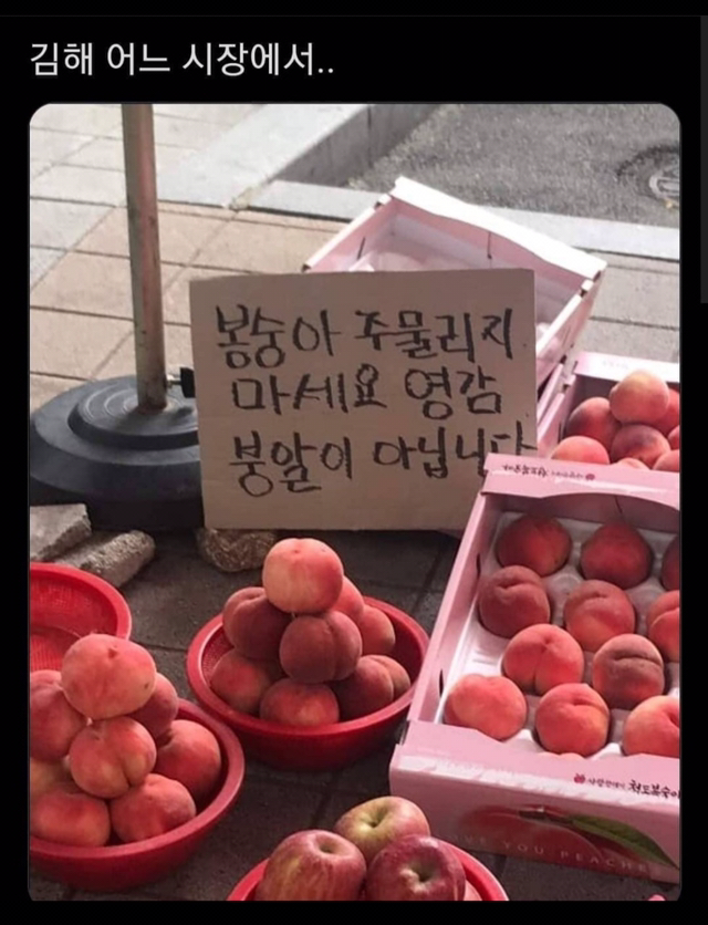 산도 이미지