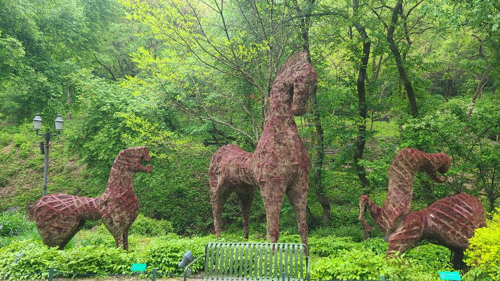 제이드 이미지