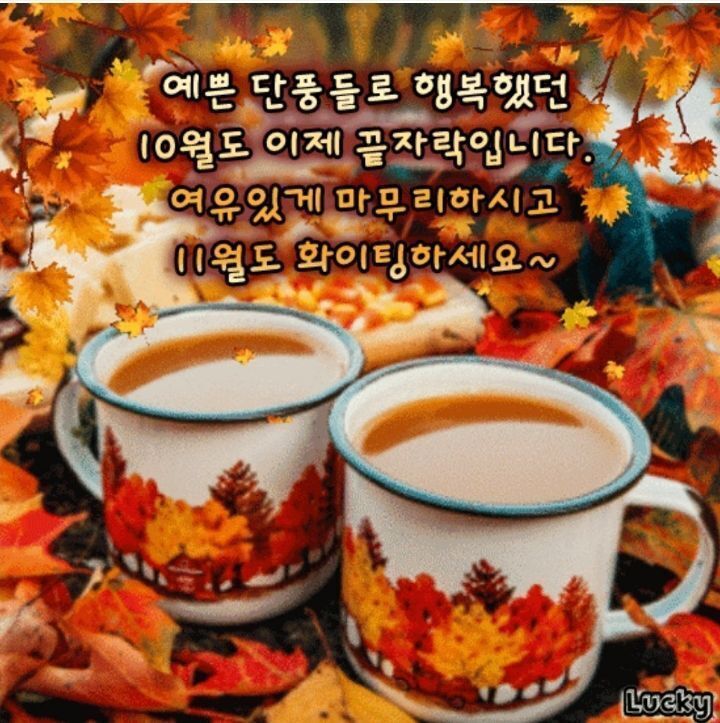 유락 이미지