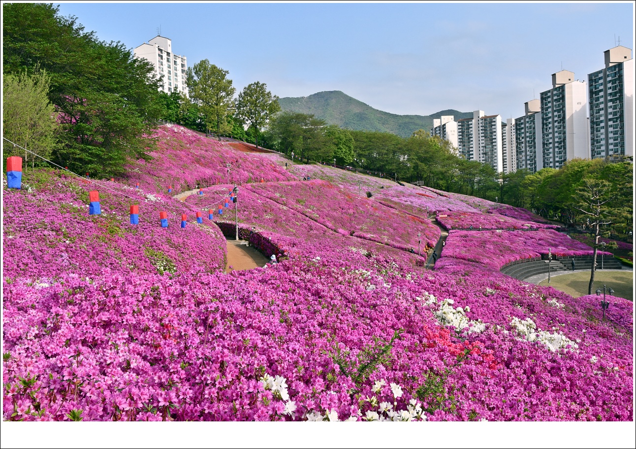 철쭉공원 이미지