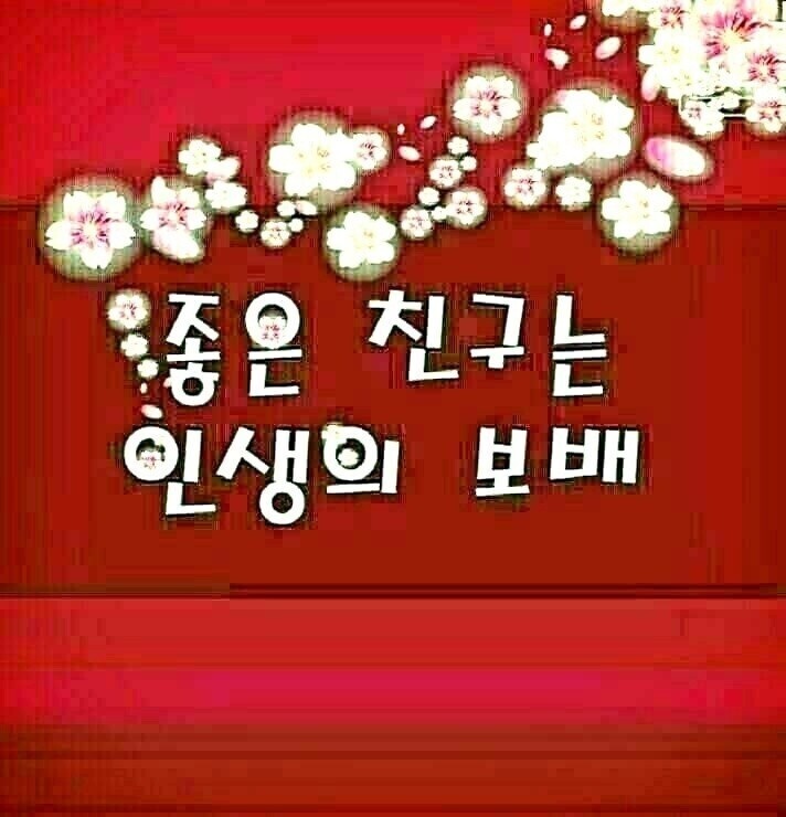 소떼들 이미지