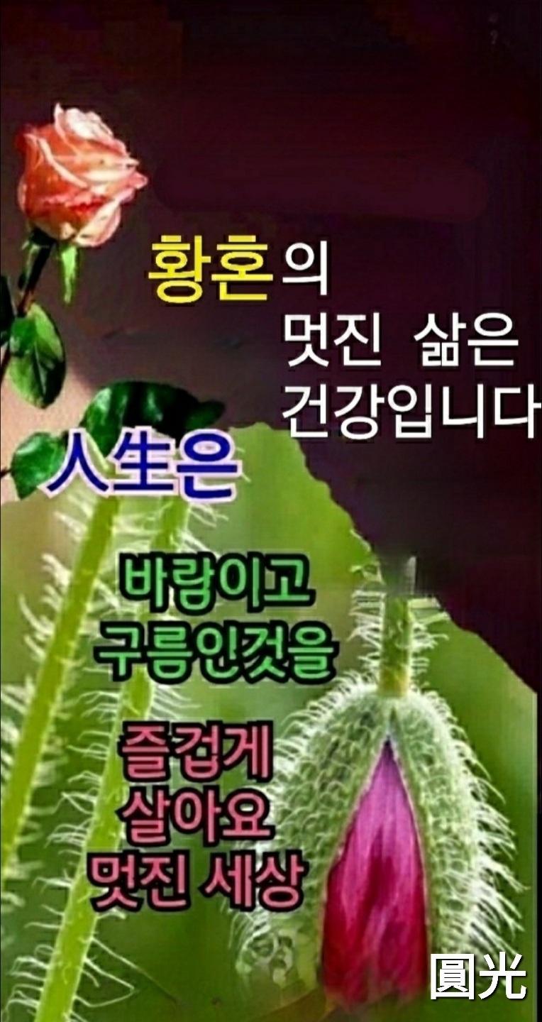 고성지 이미지
