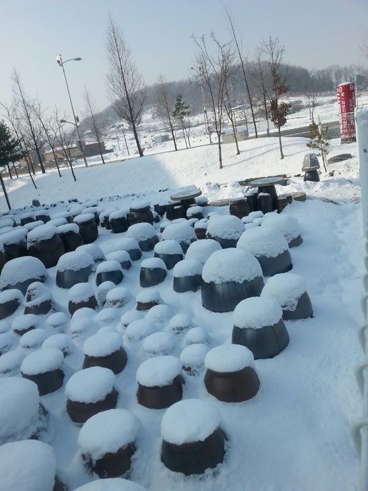 그리운 풍경 이미지