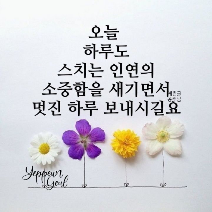 부부찐빵 이미지