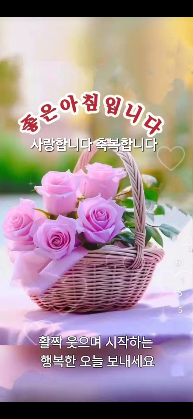 즐거운 주말 아침입니다 - ◐―――토끼띠동우회 - 5670 아름다운 동행