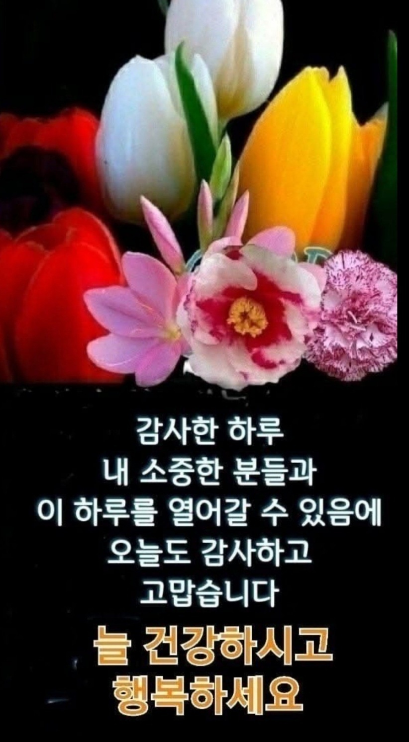소떼들 이미지