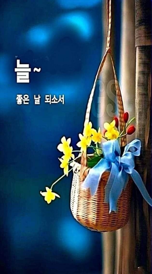 가다오다 이미지