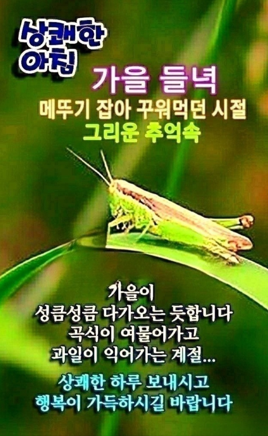 황금고개 이미지