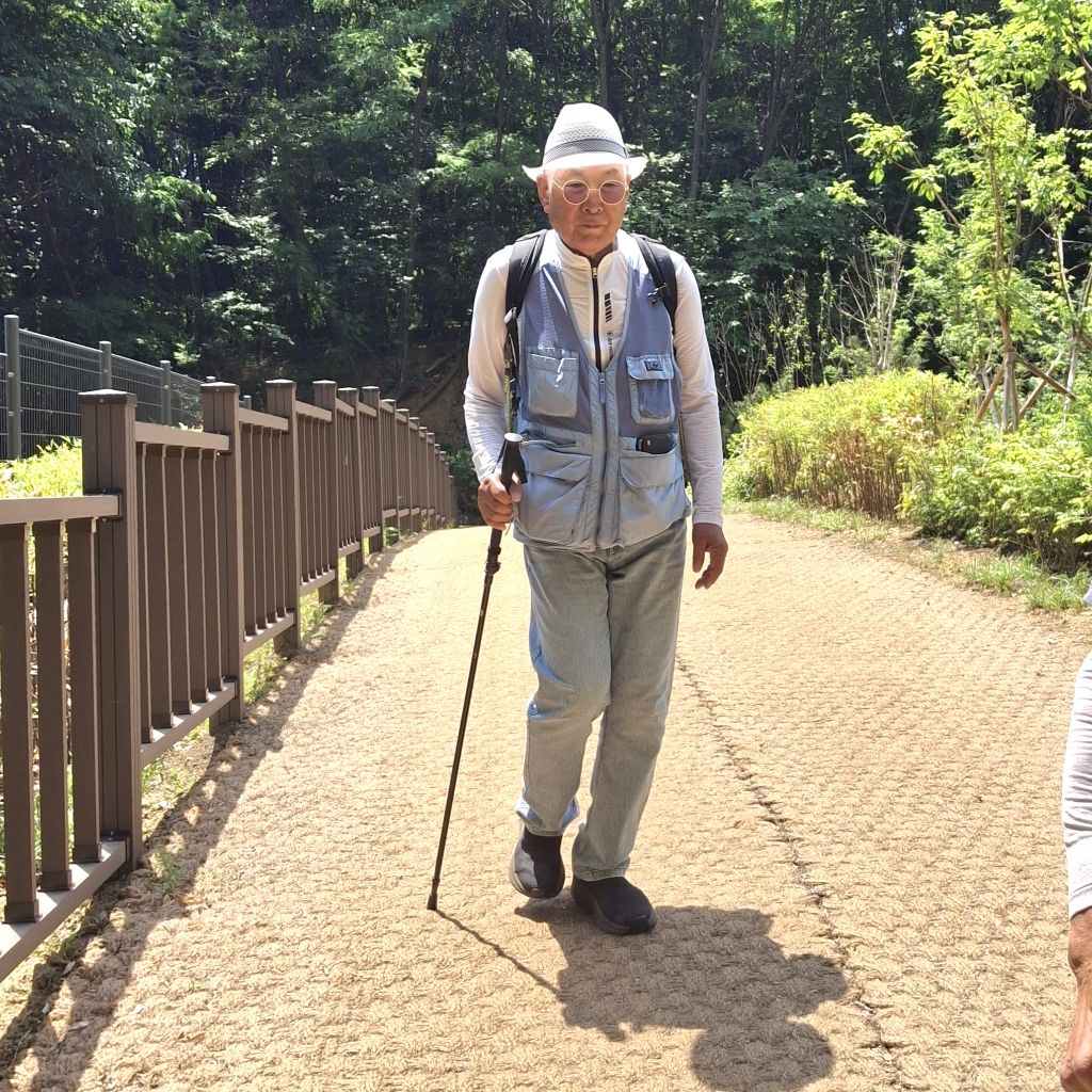 청죽 이미지