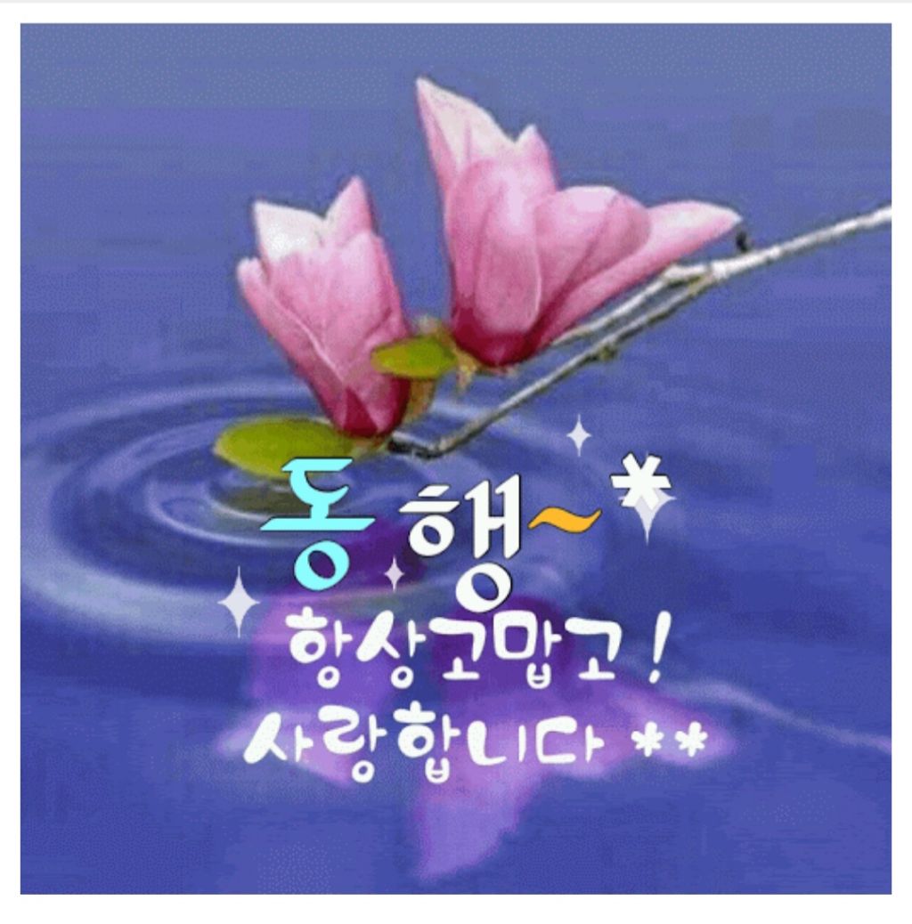 온공일 이미지