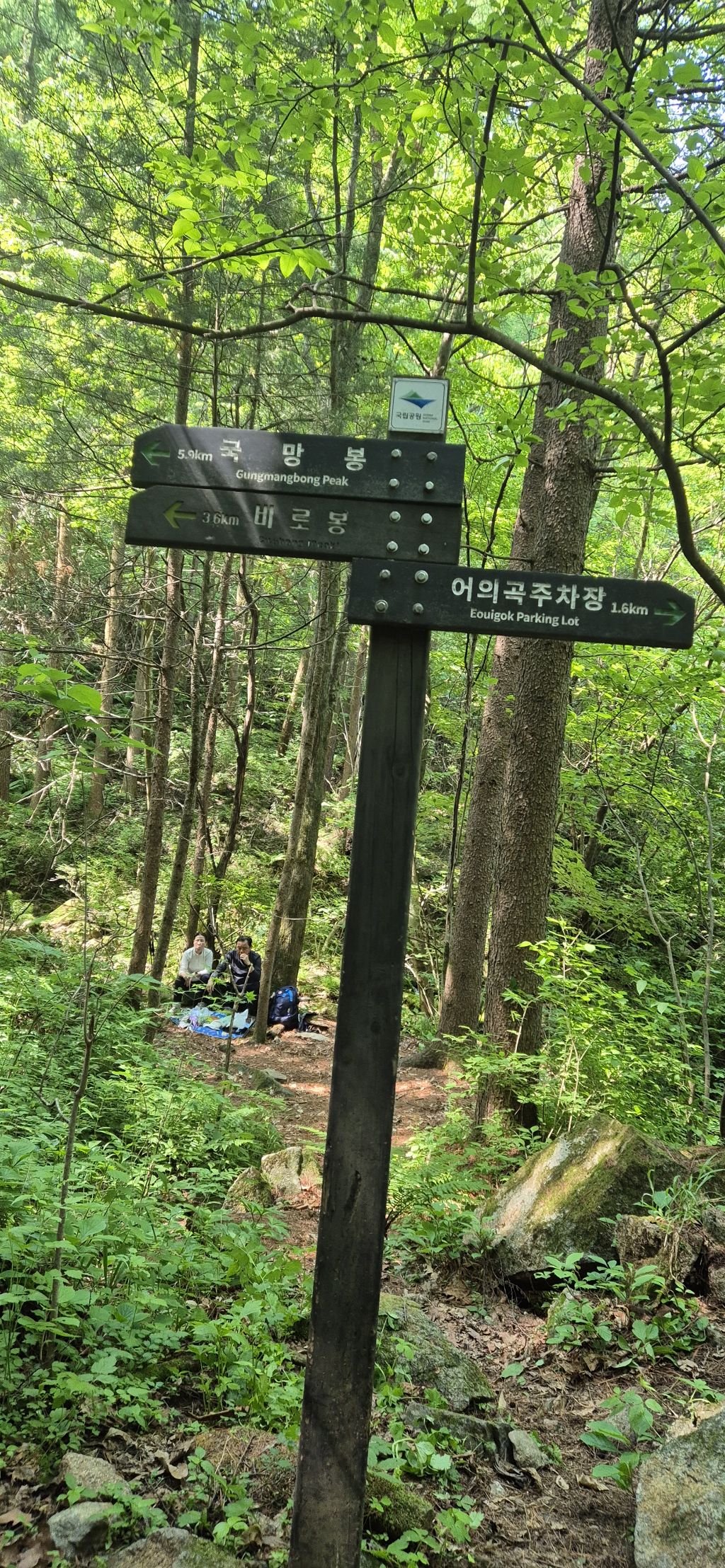 5시15분 이미지