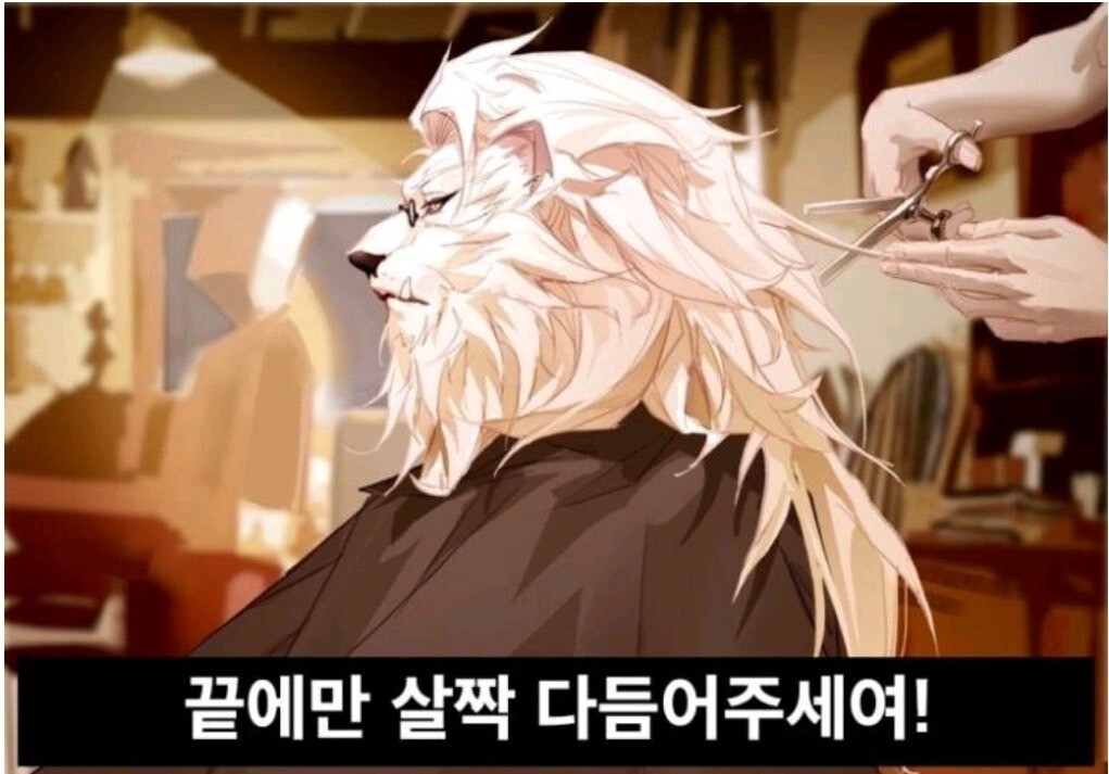 묭실 이미지