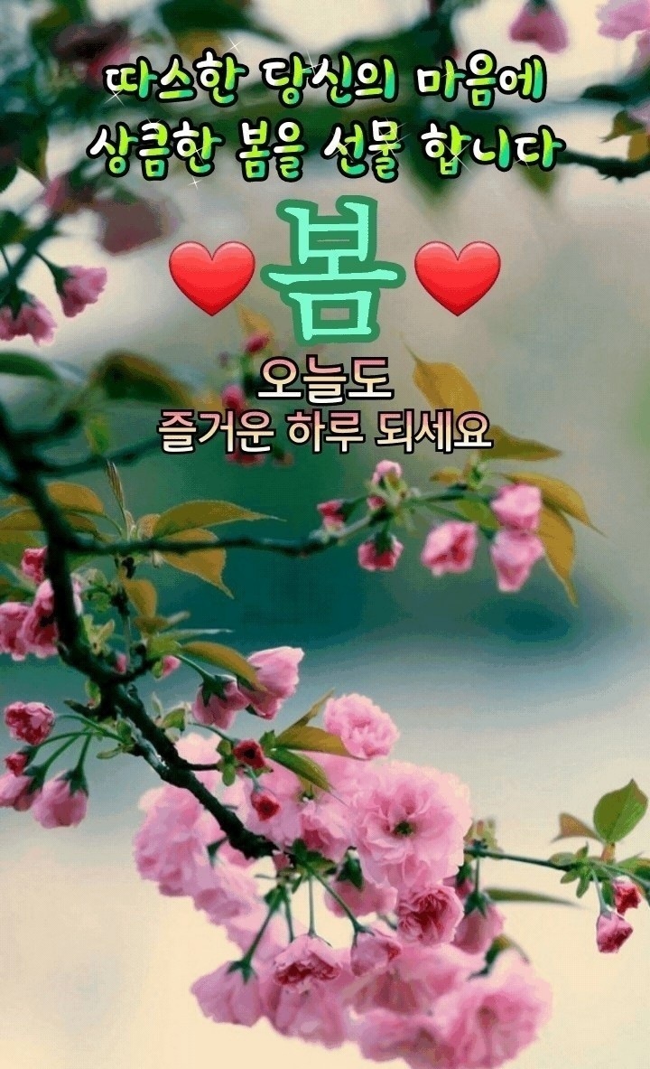 미덕 이미지