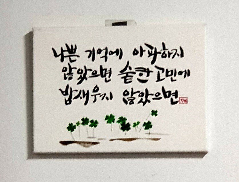 쌍둥이네 이미지