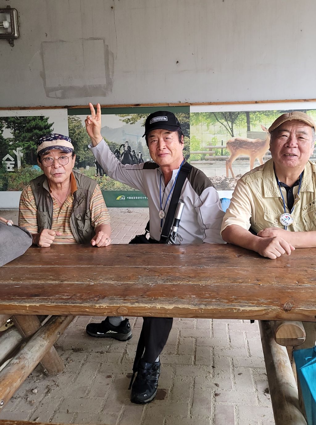 저녁숲 이미지