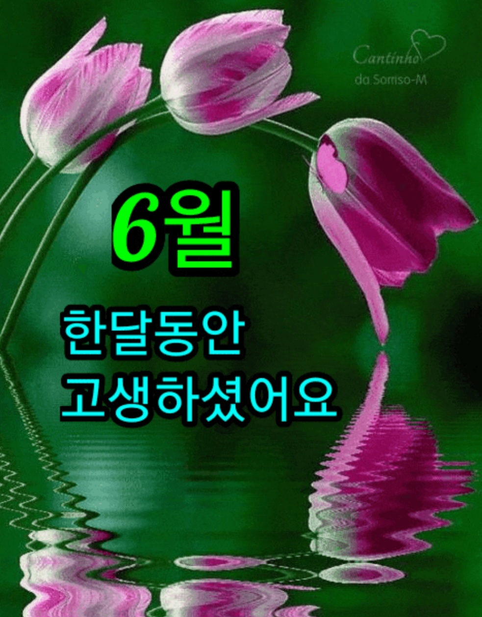 온공일 이미지