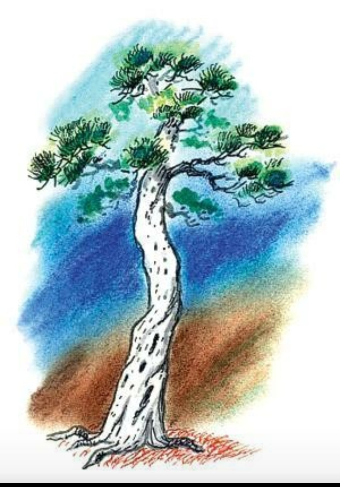 사랑방 이미지
