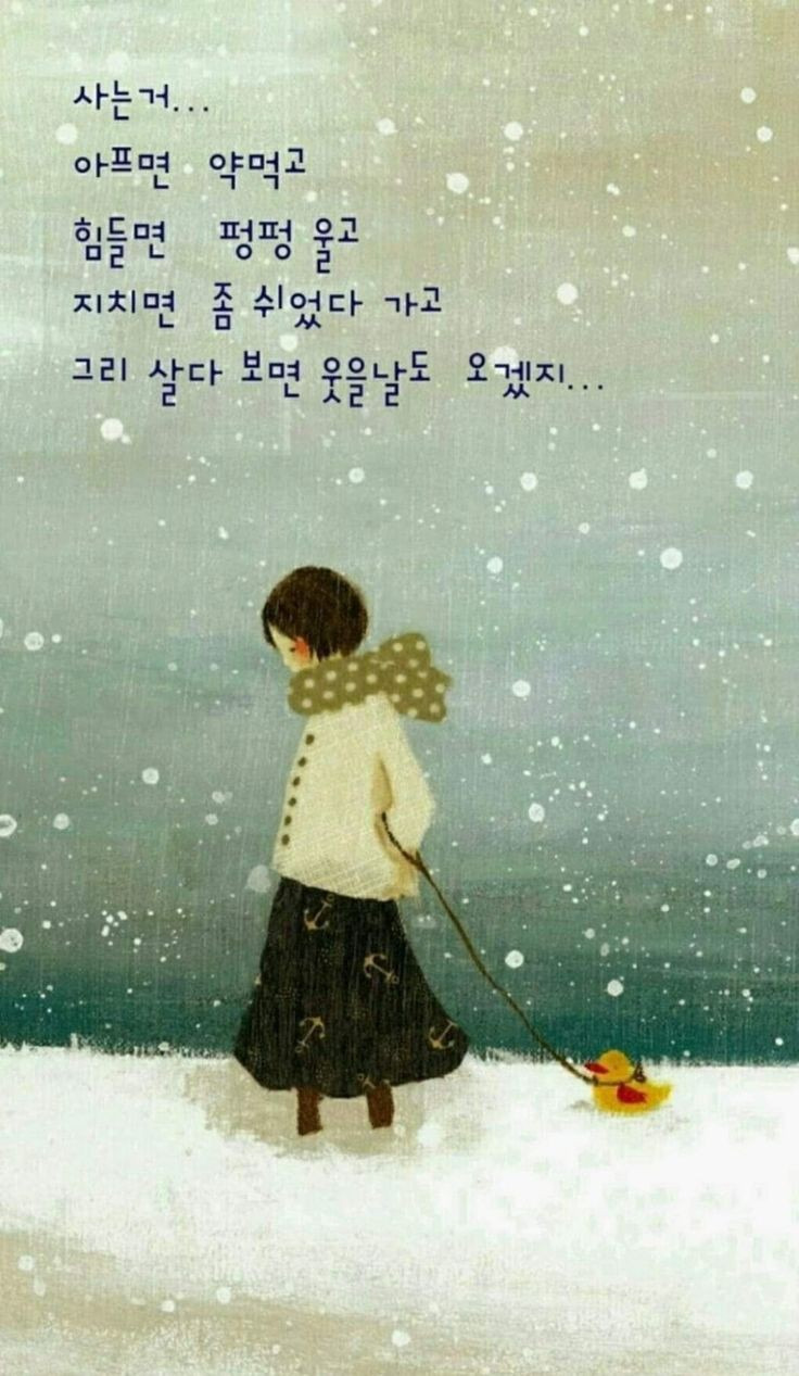 하시 이미지