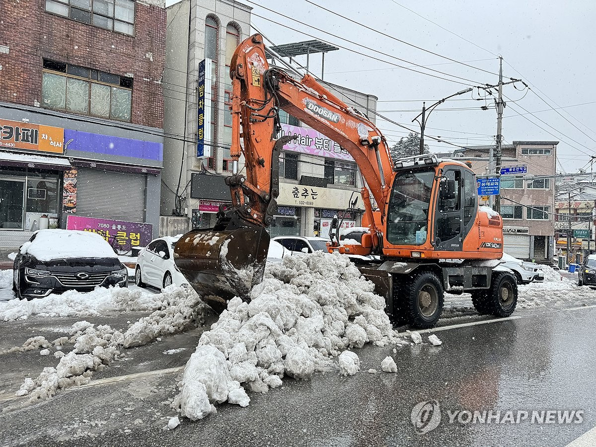 시샘 이미지