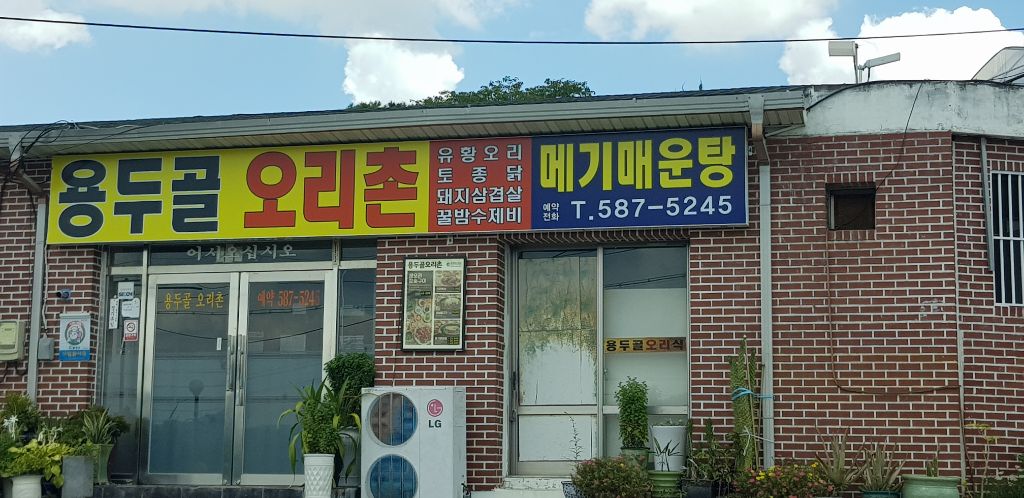 용두골오리촌 이미지