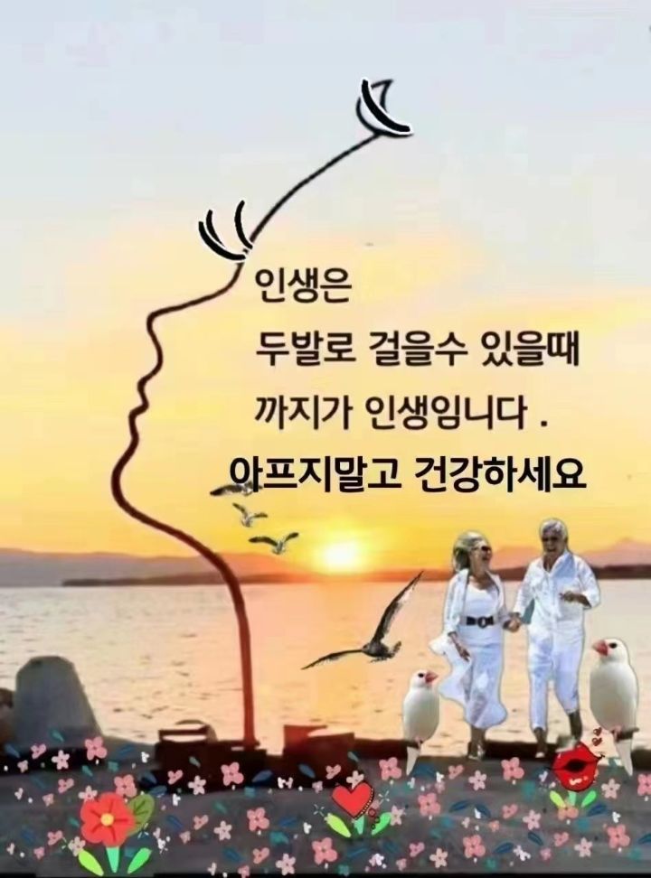 소떼들 이미지