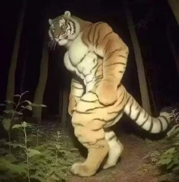 우연히 이미지