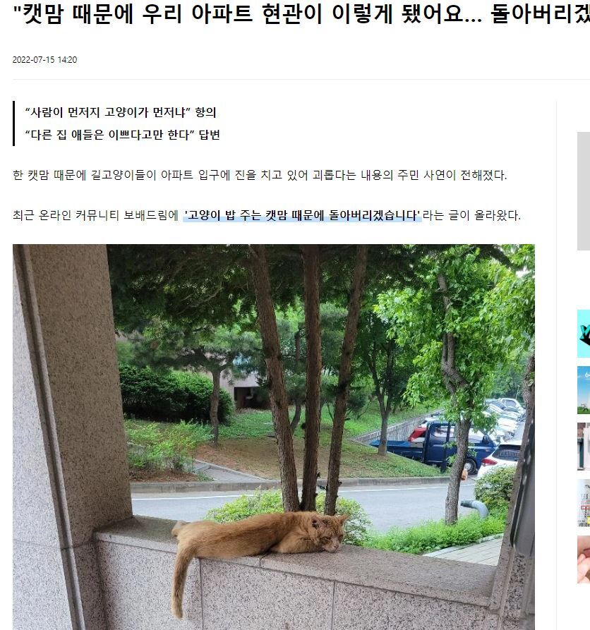 "캣맘 때문에 우리 아파트 현관이 이렇게 됐어요… 돌아버리겠습니다" | 인스티즈