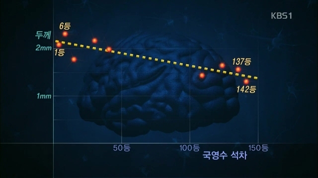 공부 잘하는 학생과 그렇지 못한 학생의 차이점 | 인스티즈