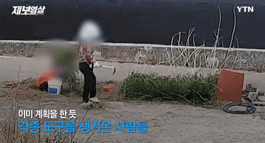 시골에 cctv 다는 집이 많아지는 이유 | 인스티즈