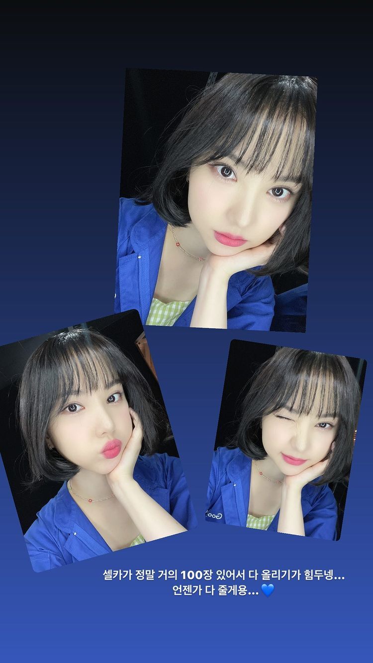 플레이온 이미지