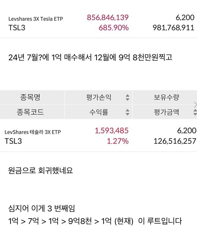 테슬라 투자자의 원금 회귀 | 인스티즈