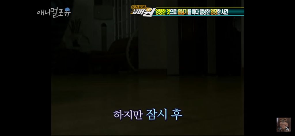 이승탈출 넘버원 황당죽음 5선 | 인스티즈