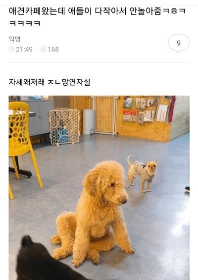 안까페 이미지