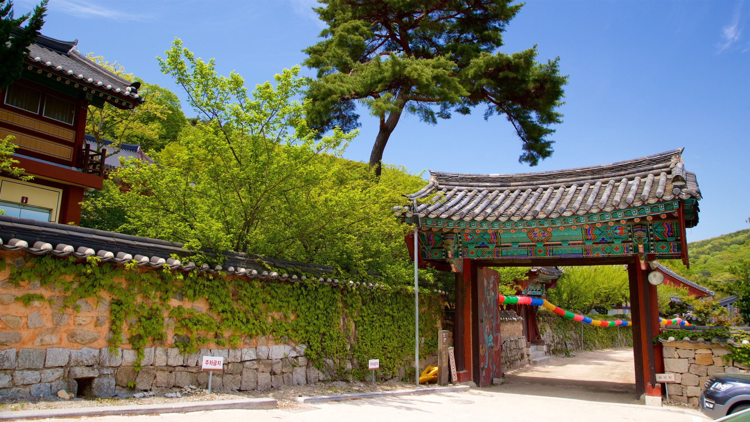 0ae52308e505874e630a2af64bd8195f50c7e6e0