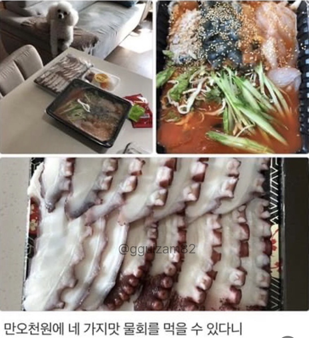 늘 보이던 강아지가 안 보이니 아쉬워하는 사장님.jpg | 인스티즈