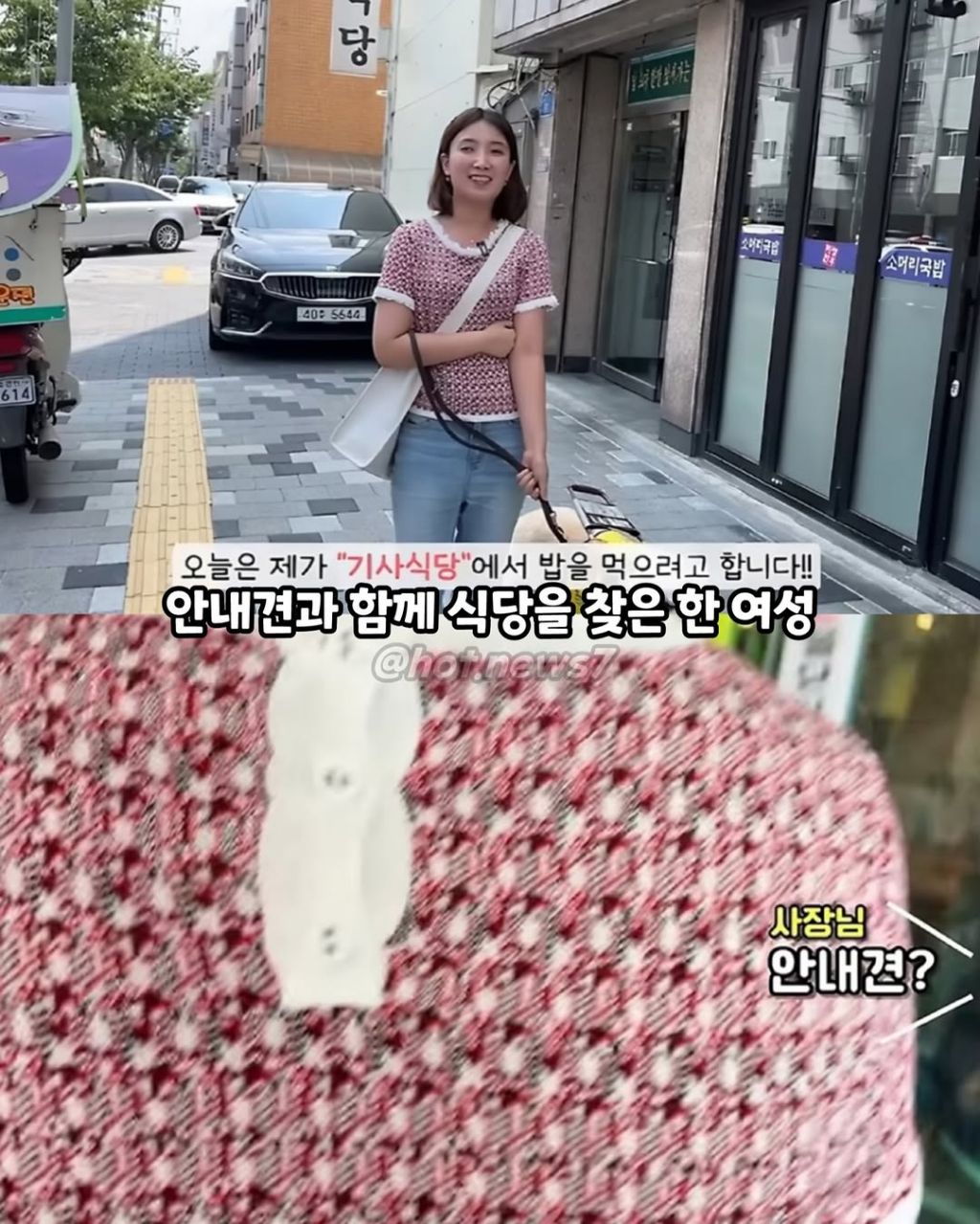 안내견보고 큰소리 내는 식당 | 인스티즈