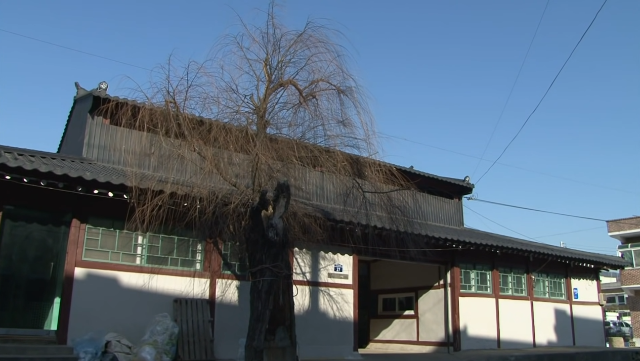 2010년에 정직원 3명이었던 막걸리 공장 | 인스티즈