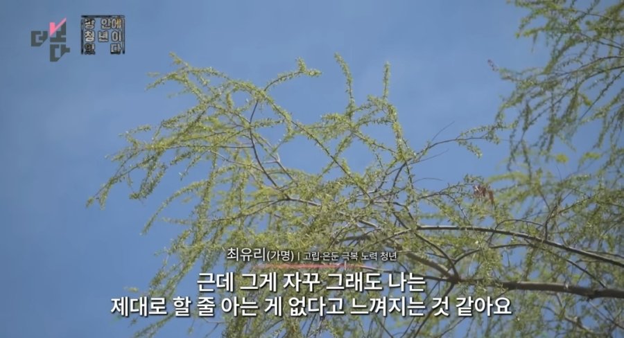 4년째 은둔형 외톨이로 살아가는 27살 여자 | 인스티즈