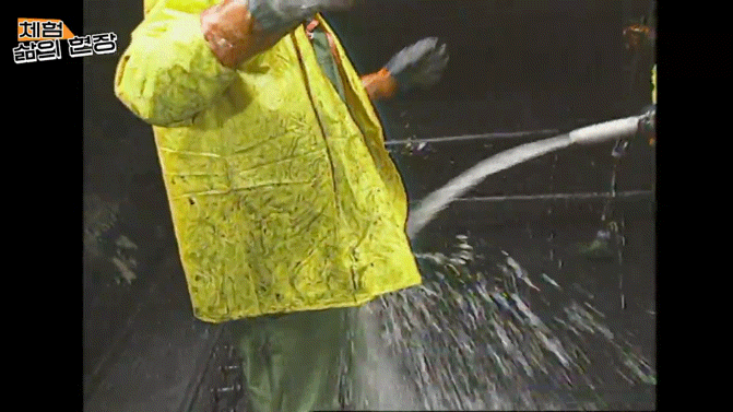 11c5a2d9ca7d726b25a54319e5df2b6da2703eb6