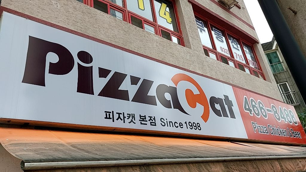 피자캣 이미지