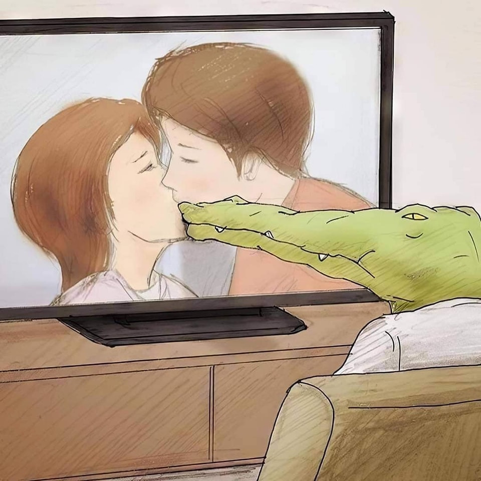 악어로 살면 생길 수 있는 문제들 | 인스티즈