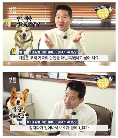 강아 자리를 옮겨가며 자는 이유는? | 인스티즈